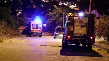 Çalılık alana düşen kişi yerine yaban domuzu bulundu - DENİZLİ