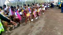 Reed Dance