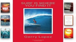 Full E-book  Surf is Where You Find It  Review