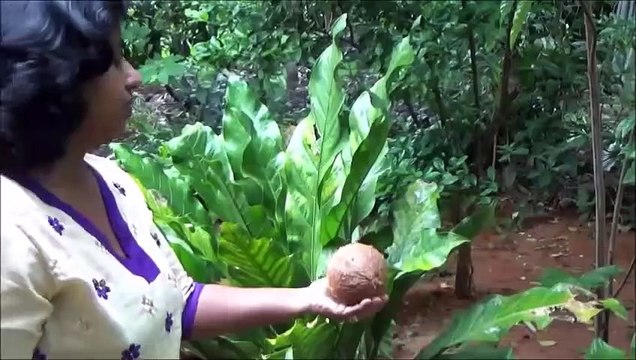 Village Aliments Délicieux Sucré préparé sans four dans mon Village par une Petite Fille de Maman