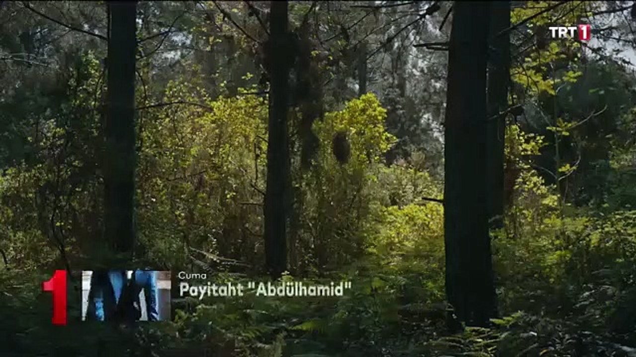 dir part 3