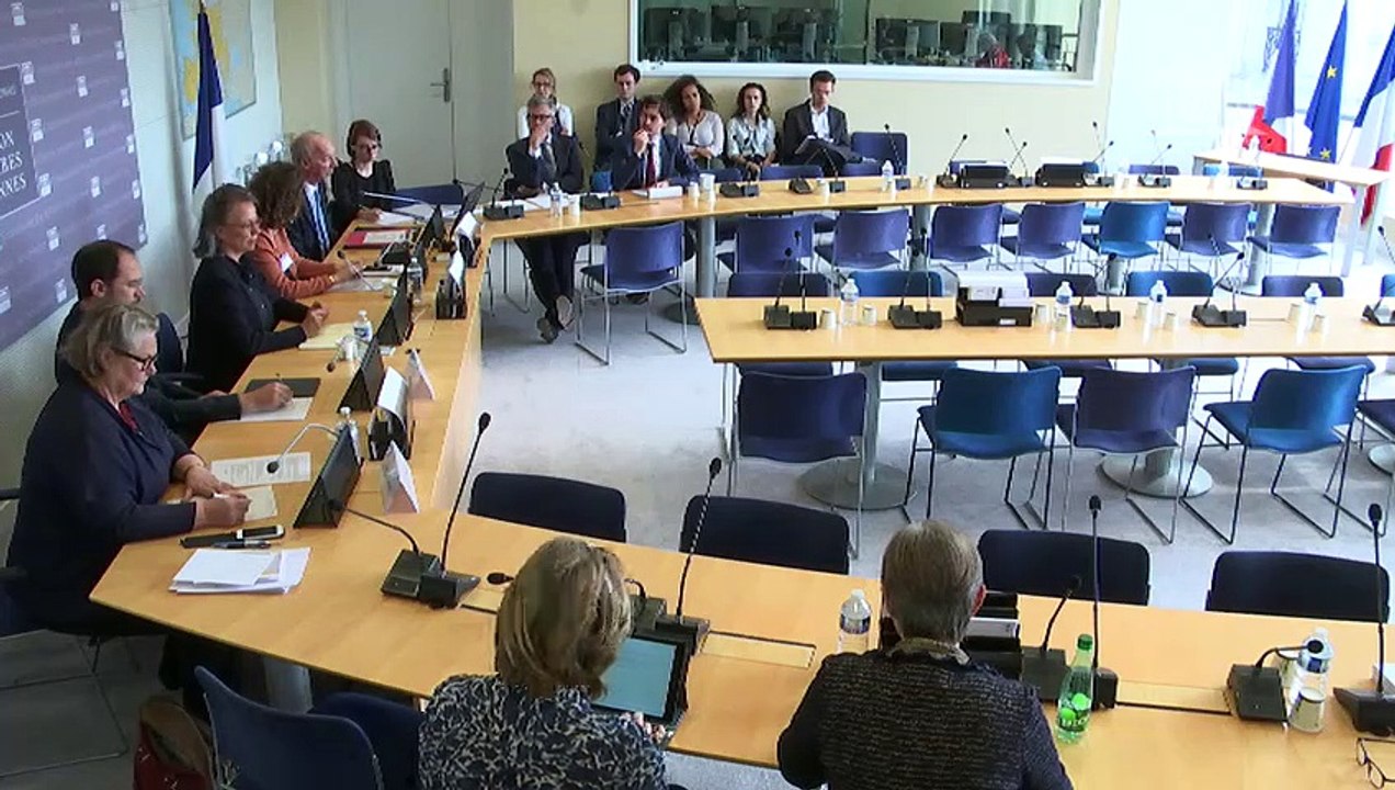 Commission des affaires européennes : Table ronde sur le résultat des élections européennes - Mardi 28 mai 2019