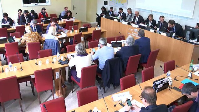 Commission des affaires étrangères : M. Jean-Yves Le Drian, ministre de l’Europe et des affaires étrangères - Mardi 28 mai 2019