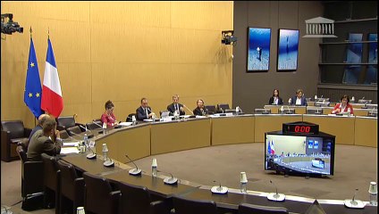 Commission d'enquête sur les moyens des forces de sécurité : Auditions diverses - Mardi 28 mai 2019