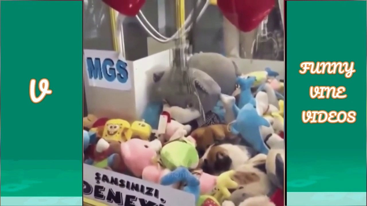 Vine video compilation of the best in 2019_052