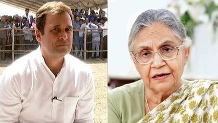 Sheila Dikshit Request Rahul | காங்கிரஸ் மீண்டும் எழுச்சி பெறும்! ஷீலா தீட்சித் உறுதி- வீடியோ