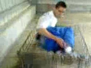 Delire chariot(cheville toss)