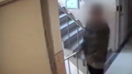 '신림동 무단 침입 ' CCTV 속 남성 긴급체포 / YTN