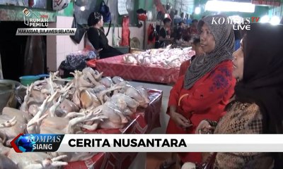 Harga Ayam Potong Naik Jadi Rp 24.000 Per Kilogram
