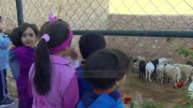 Kriza e Natyrës/ Raporti i OKB: Ja si po e shkatërrojmë Tokën - Top Channel Albania - News - Lajme