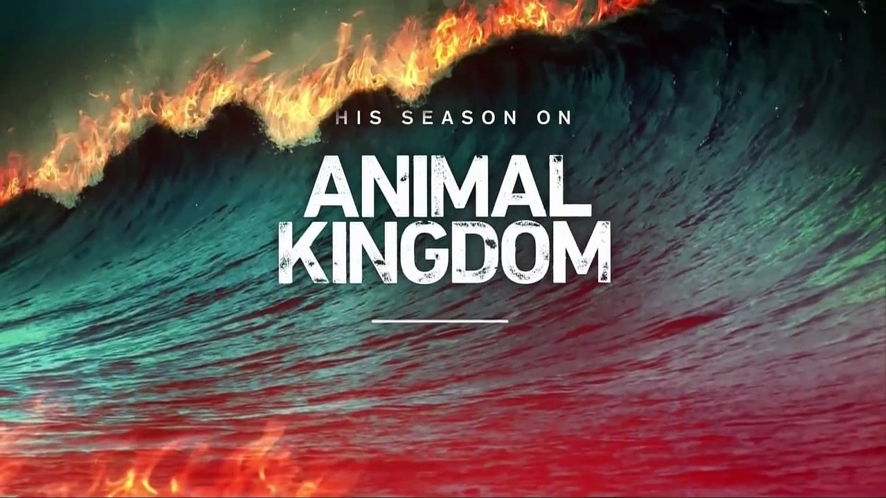 Animal Kingdom S04e02 Angela Video Dailymotion