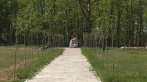 Mbillen 170 fidane në kompleksin e varrezave të Dëshmorëve në fshatin Shqiponjë-Lajme