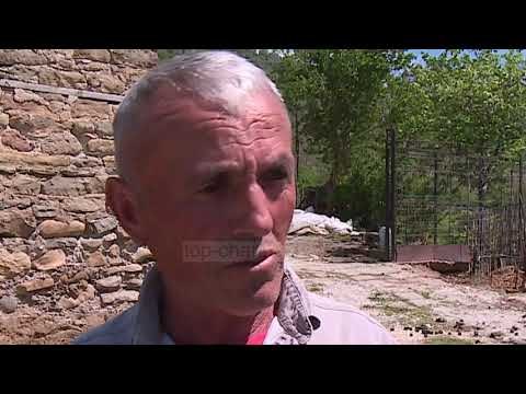 Vdekja tragjike e 16-vjeçares - Top Channel Albania - News - Lajme