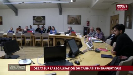 Invité : François Patriat - Territoire Sénat (29/05/2019)