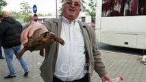 RTV Ora - Me breshkë drejt Tiranës, dhurata e protestuesit nga Elbasani për Kryeministrin