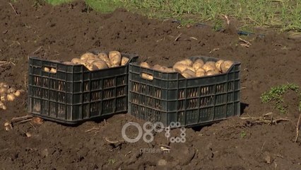 RTV Ora - BSH: Sistemi bankar nuk e mbështet financimin e sektorit bujqësor