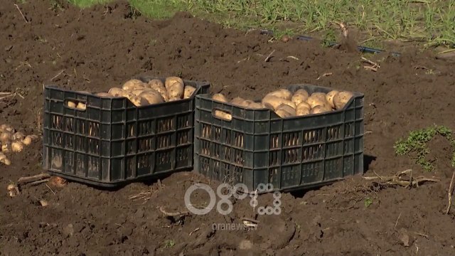 RTV Ora - BSH: Sistemi bankar nuk e mbështet financimin e sektorit bujqësor