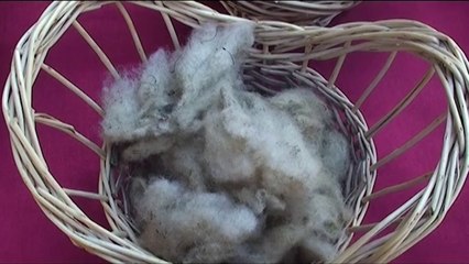 PROMOVIMI I TRASHËGIMISË  KULTURORE NE BERAT