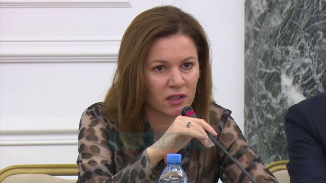 Biznesi: Kriza politike po na fundos! - News, Lajme - Vizion Plus