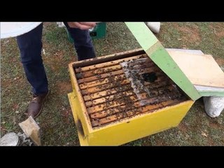 RTV Ora - “Pa bletë, s’ka jetë”