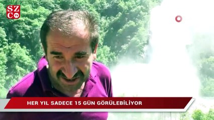 Her yıl sadece 15 gün görülebiliyor