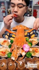 Viral Videos million view and muddy moments #2019 try not to laugh #1