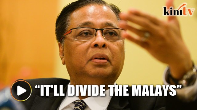 Malays won't be happy with too many parties, says Umno leader