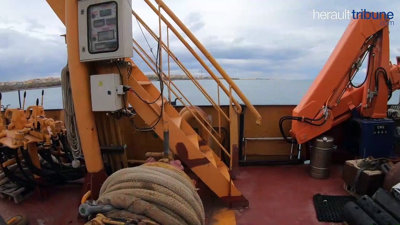 LE CAP D'AGDE - Des récifs artificiels imprimés en 3D pour reconquérir la biodiversité marine