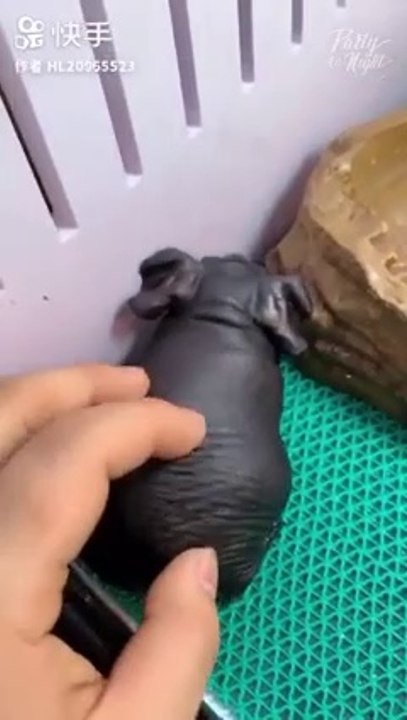 Viral Videos million view and muddy moments #2019 try not to laugh #10