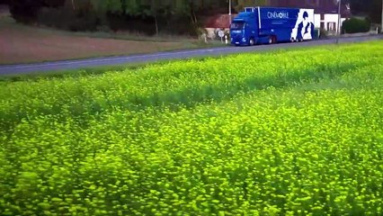 Un jour de fête à Sainte-Sévère