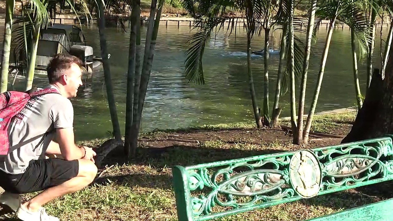 Monitor lizards attract tourists to Bangkok park