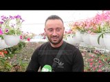 Nga perimet tek lulet/ Fermerët gjejnë hapësira të reja në treg - Top Channel Albania - News - Lajme