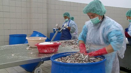 Shqipëria, më pak eksporte/ E fundit në rajon për volumin e mallrave - Top Channel Albania