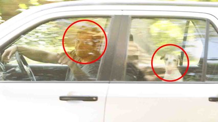 Rahul Gandhi Pet Dog Pidi के साथ कर रहे सैर-सपाटा, Social Media पर Viral हुई Photo | वनइंडिया हिंदी