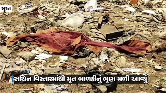 સુરતના સચિન વિસ્તારમાંથી બાળકીનું મૃત હાલતમાં ભૃણ મળી આવ્યું