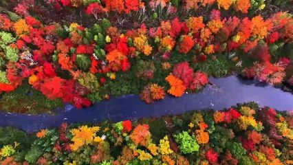 Visit Nova Scotia during Autumn _ Woovly Bucket List Idea