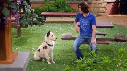 Dog With A Blog S01E04 - Wingstan