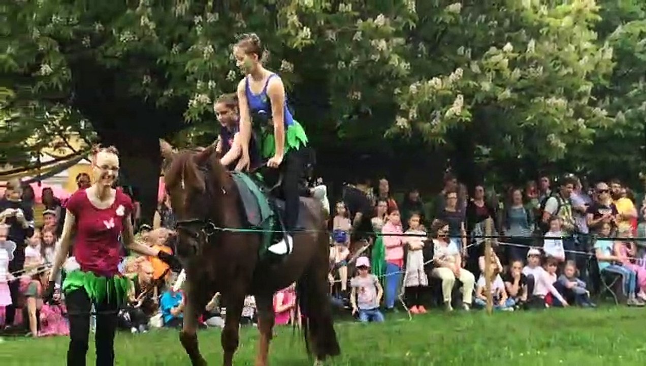 Elfenfest 25.05.19 Teil 2