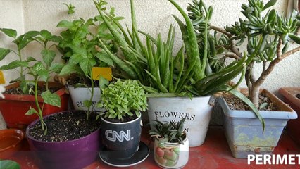 Rreze Dielli, 27 Maj 2019 – Të ftuar Zef Gjeta dhe Rezarta Delisula