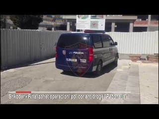 Report TV - Shpërndante ekstazi pranë shkollave, arrestohet me 990 tableta 24-vjeçari në Shkodër