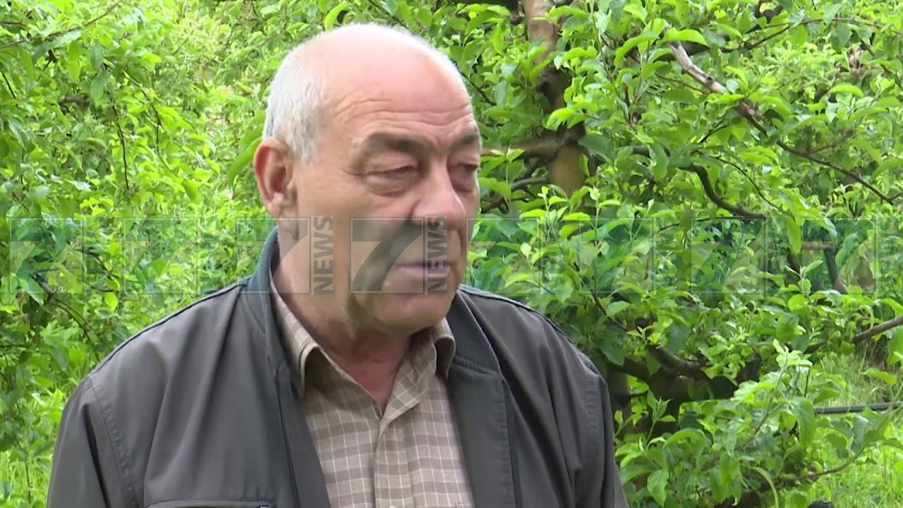 FERMERET ANKOHEN SE MOTI ME RESHJE PO I KALB QERSHITE - News, Lajme - Kanali 7