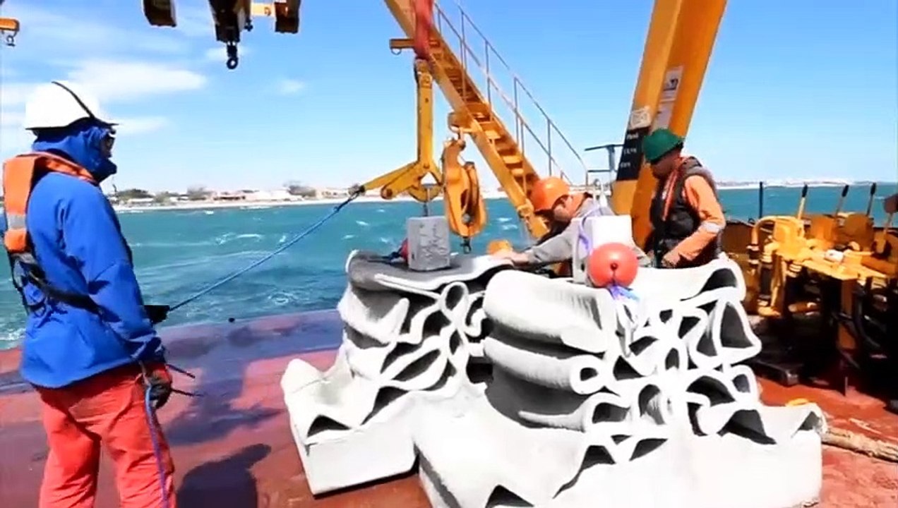 LE CAP D'AGDE - Des récifs artificiels sont immergés autour du Fort de Brescou pour amplifier la biodiversité