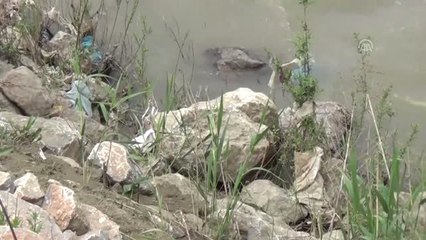 Karasu Nehri'ne atılan çöpler tepkiye neden oldu
