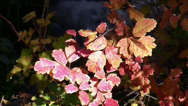 Beautiful Nature Around The World