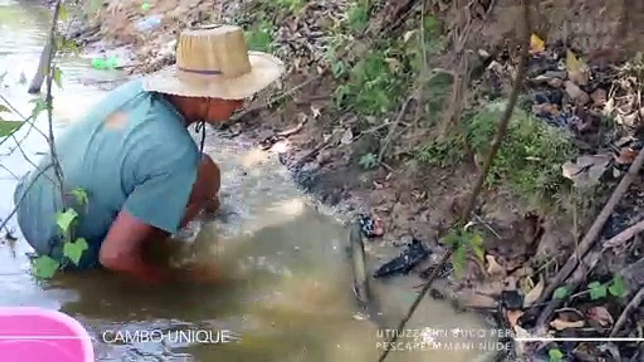 Trova un buco e quello che tira fuori dall'interno attira l'attenzione dei social network