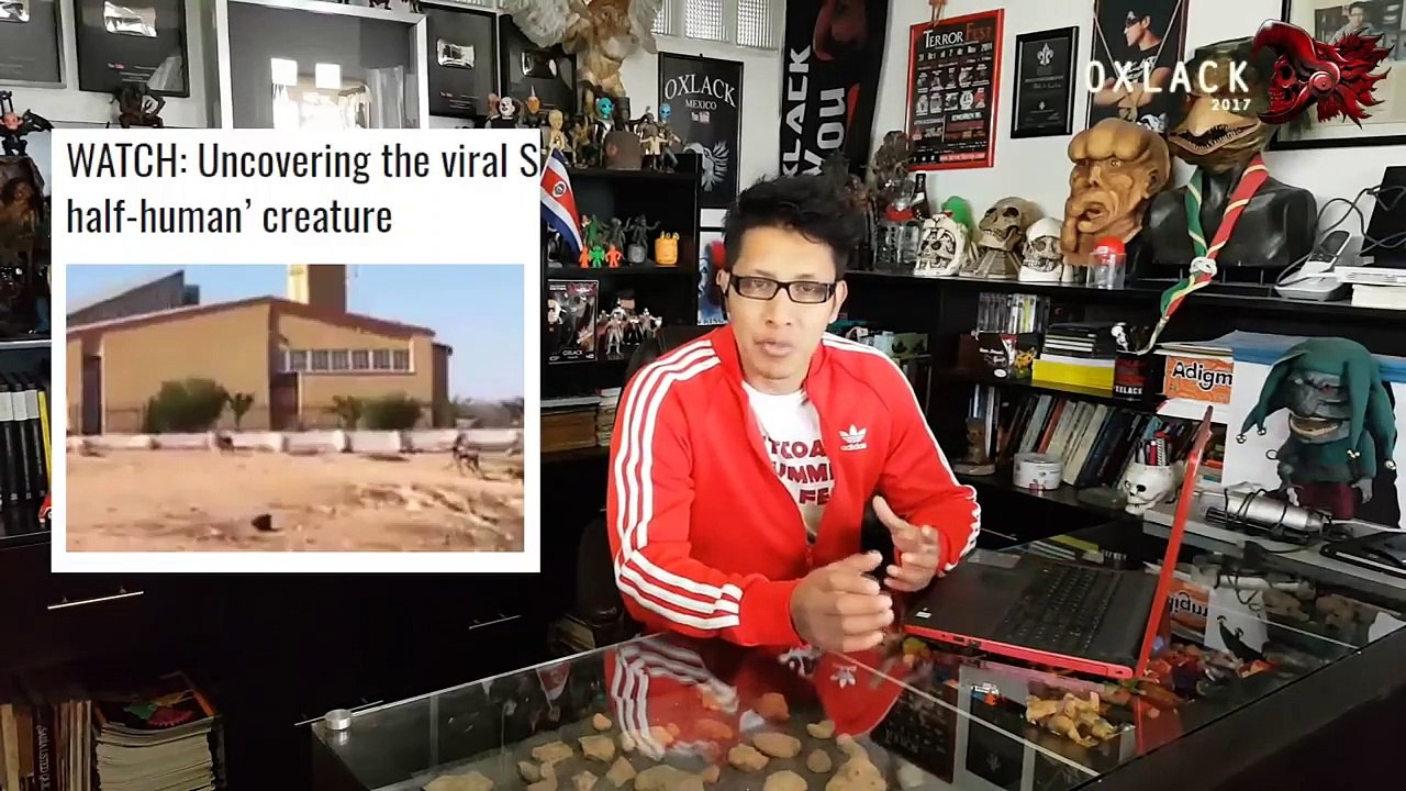 UNA CRIATURA MITA PERRO MITAD HOMBRE. A CREATURE MITA PERRO MITAD HOBRE