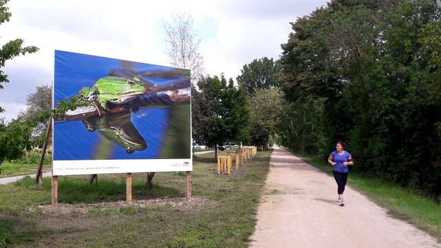 De Huningue à Kembs, une exposition de photos à ciel ouvert