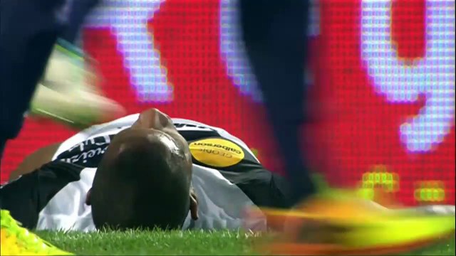 J14 Montpellier Hérault SC - EA Guingamp (1-1) - Le résumé (MHSC - EAG) - 2013 2014