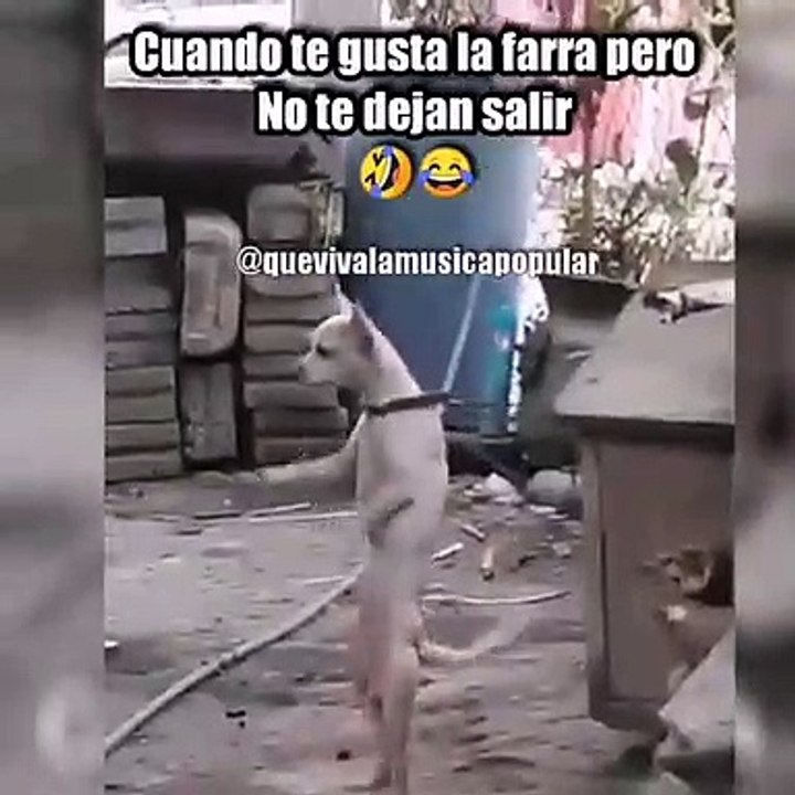Dance with me