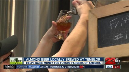 Almond beer locally brewed at Temblor